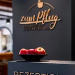 Penzion Zum Pflug 3*