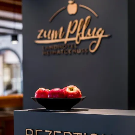 イン Zum Pflug 3*