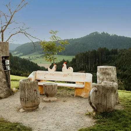 Zum Pflug 3* ツェル・アム・ハルマースバッハ